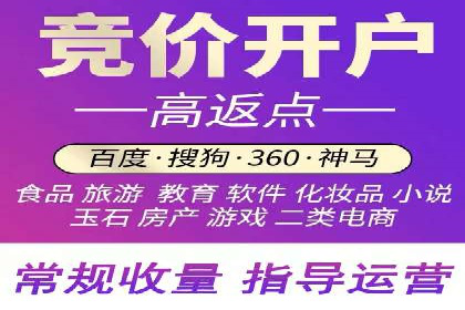 谷歌SEM广告投放的ROI优化：一家科技公司的成功经验